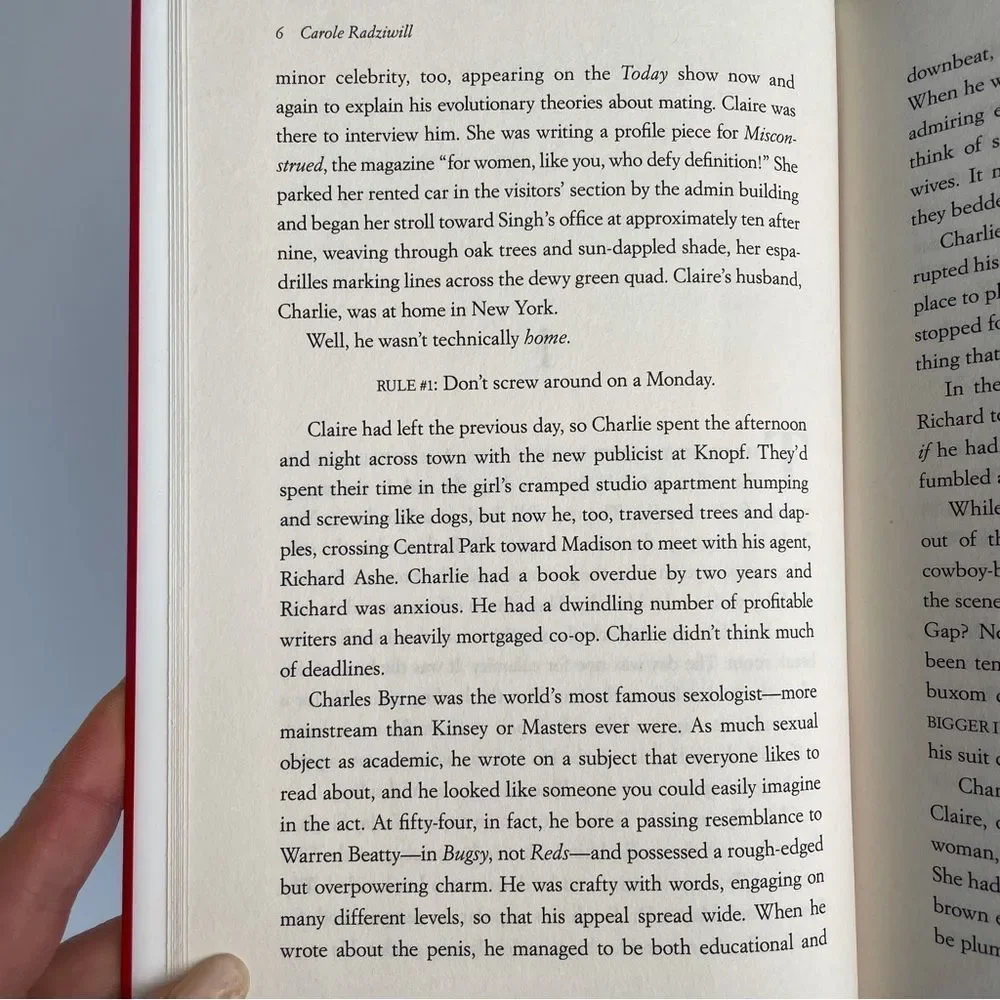 BOOK, The Widow’s Guide to Sex & Dating, a novel, 302 pages, Fiction, NOS - Picture 5 of 16